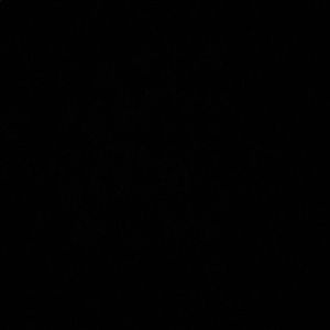 Meet your Posher, Conor